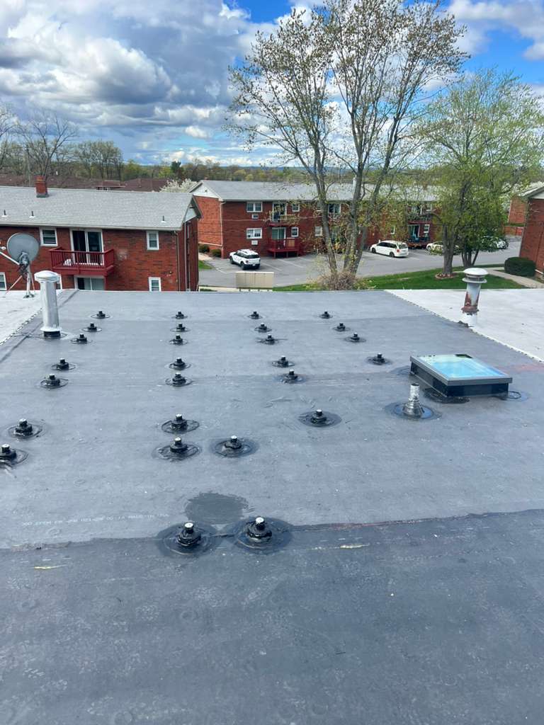 Roofing and exterior project photo 14